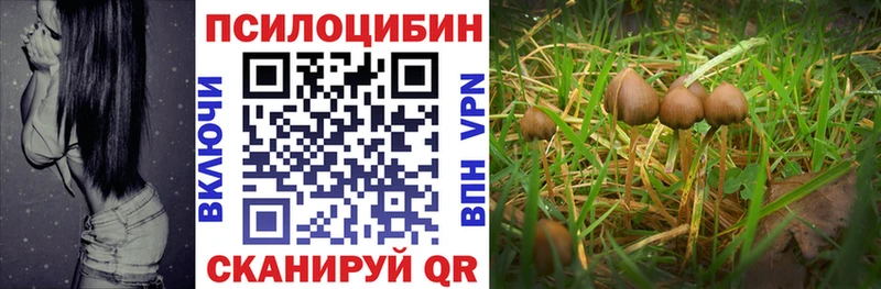 Галлюциногенные грибы MAGIC MUSHROOMS  Бердск 