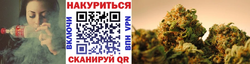 Шишки марихуана планчик  цены наркотик  OMG ссылка  Бердск 